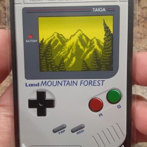 Taiga Game Boy Dual Land