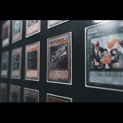 MTG deck storage