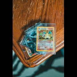 Are MTG Storage Trays from MTGetsy Worth the Investment? post thumbnail image